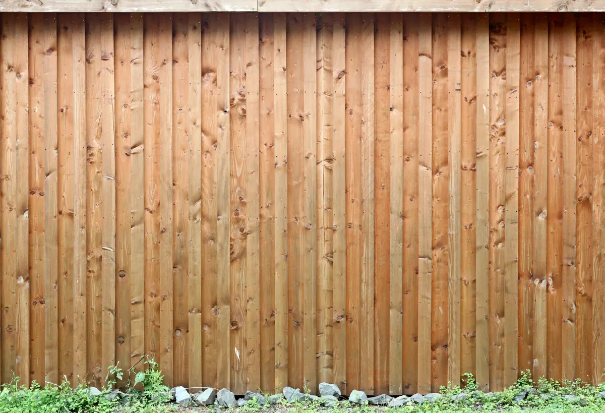 Vertical wood boards of a privacy fence